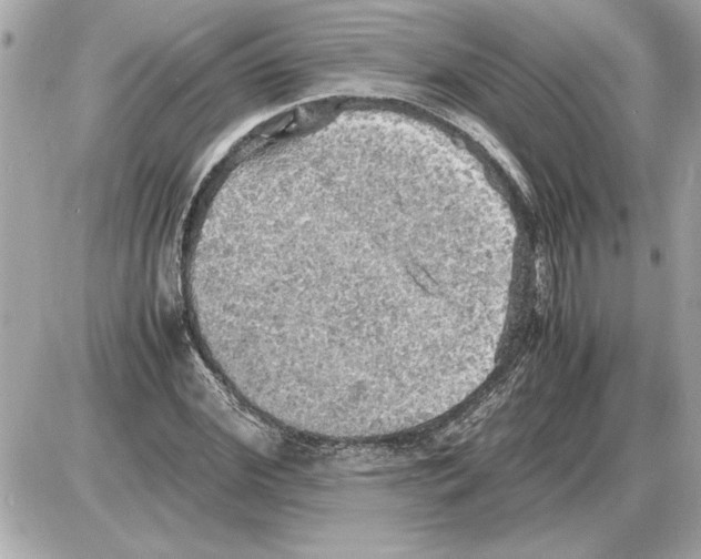 X0000085270972200704092136