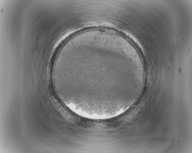 X0000085270975200704092136