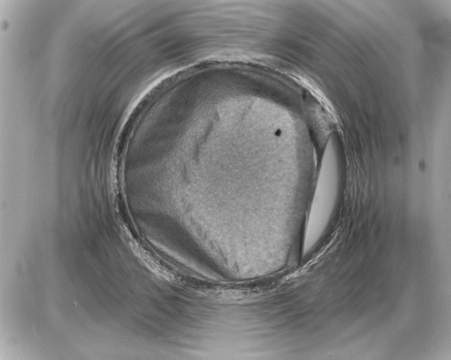 X0000085270976200704092136