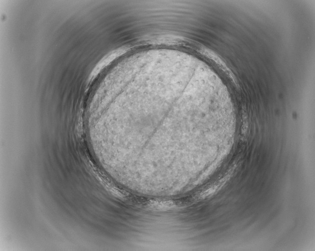 X0000085270978200704092136