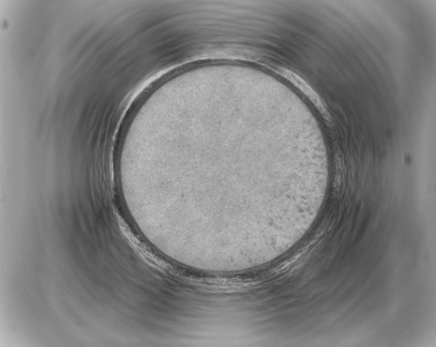 X0000085270980200704092135