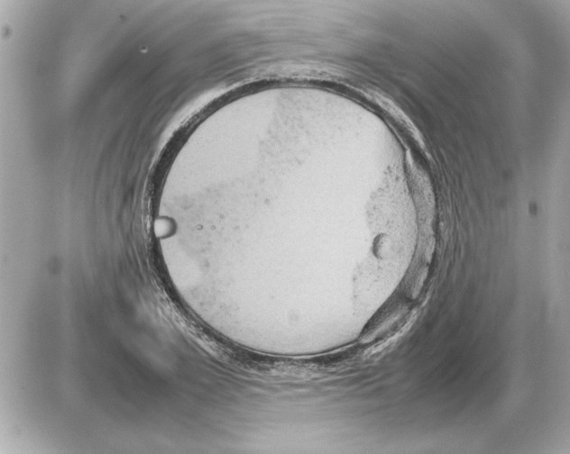 X0000085270981200704092135