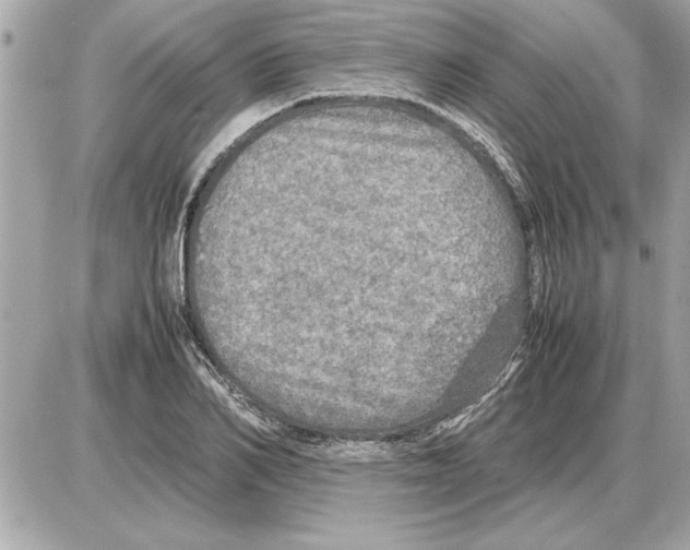 X0000085270982200704092135