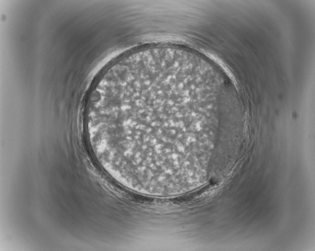 X0000085270983200704092135