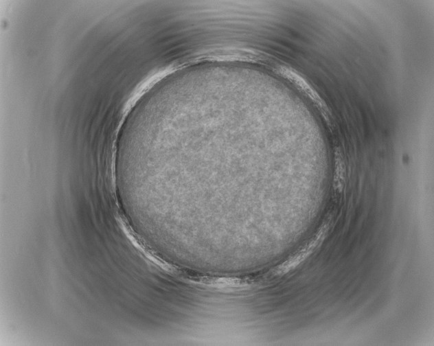 X0000085270986200704092135