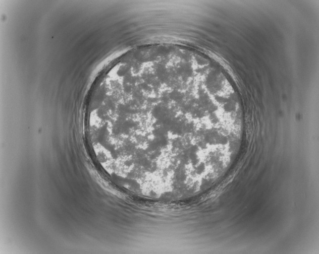 X0000085270987200704092135