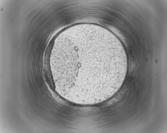 X0000085270988200704092135