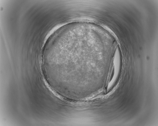 X0000085270989200704092135