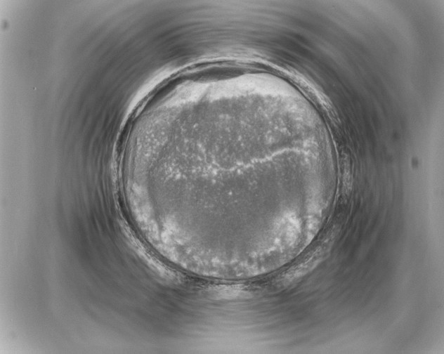 X0000085270990200704092135