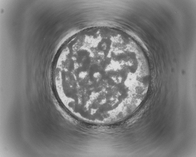 X0000085270991200704092135