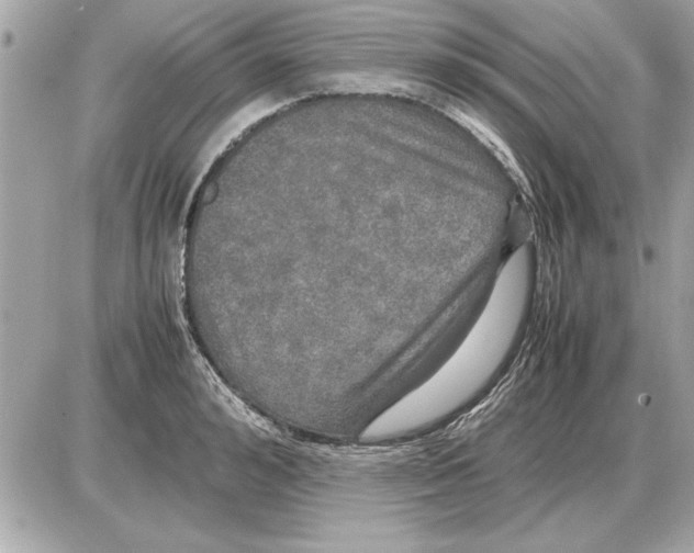 X0000085270992200704092135