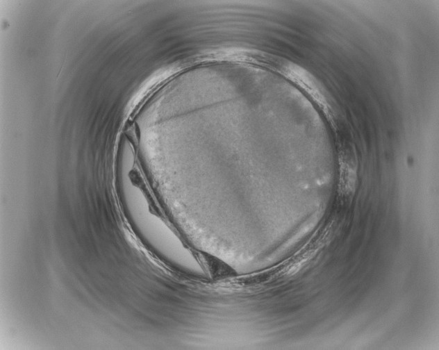 X0000085270994200704092135