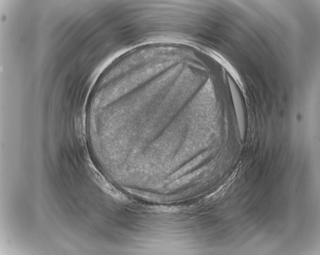 X0000085270996200704092135