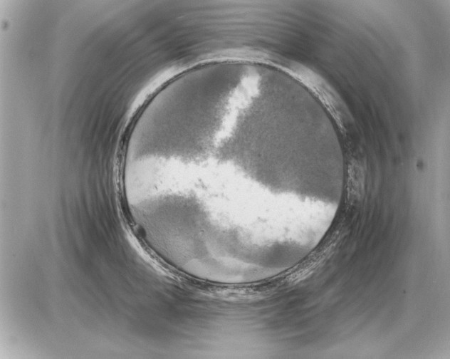 X0000085270998200704092135