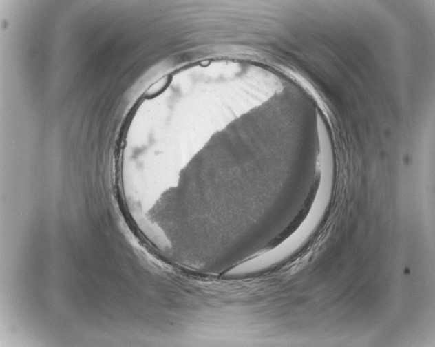 X0000085270999200704092135