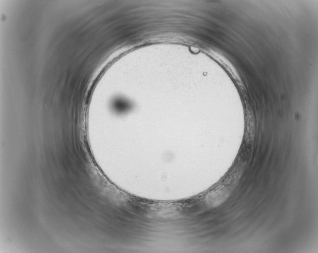 X0000085271000200704092135