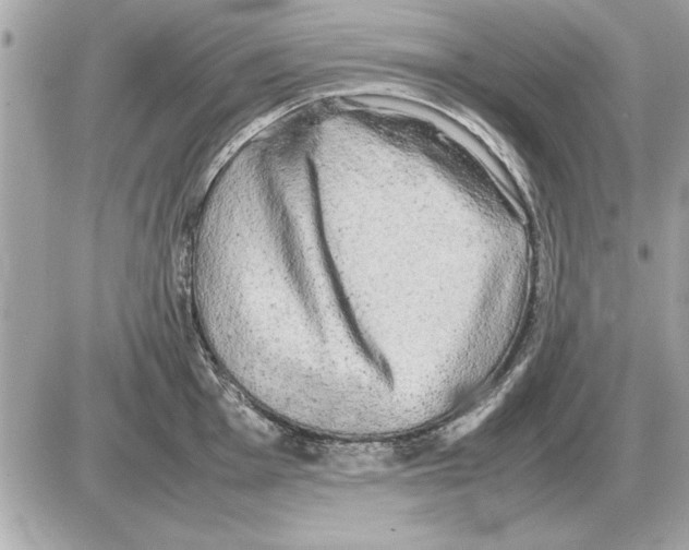 X0000085271001200704092135