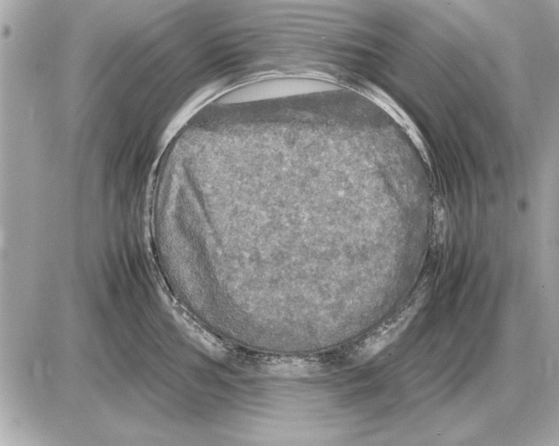 X0000085271002200704092135