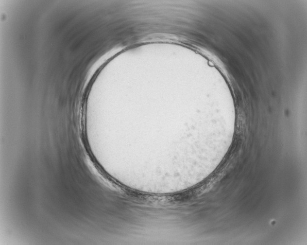 X0000085271003200704092135