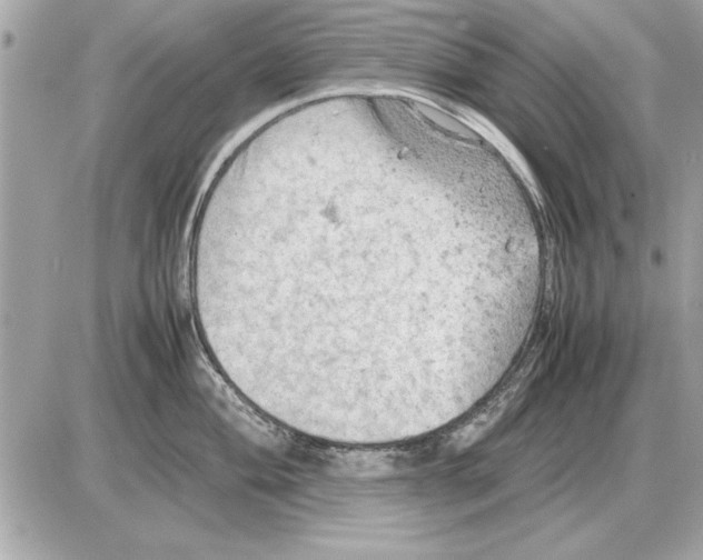 X0000085271004200704092135