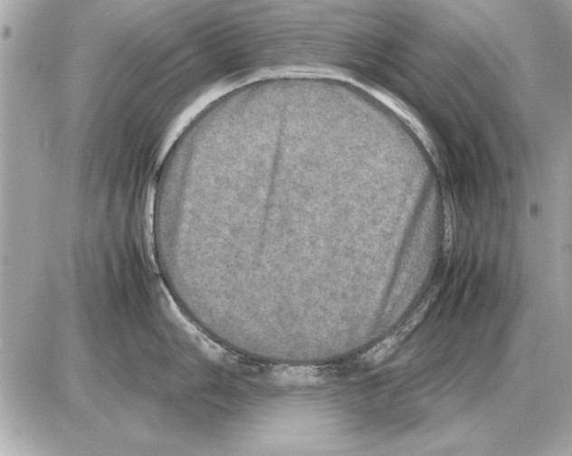 X0000085271006200704092135