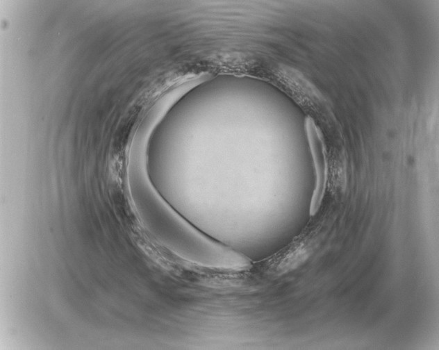 X0000085271010200704092134