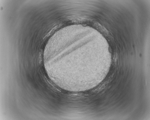 X0000085271012200704092134