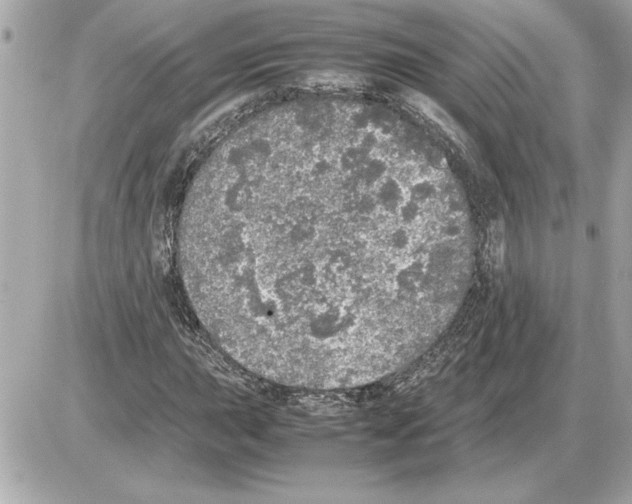 X0000085271015200704092134