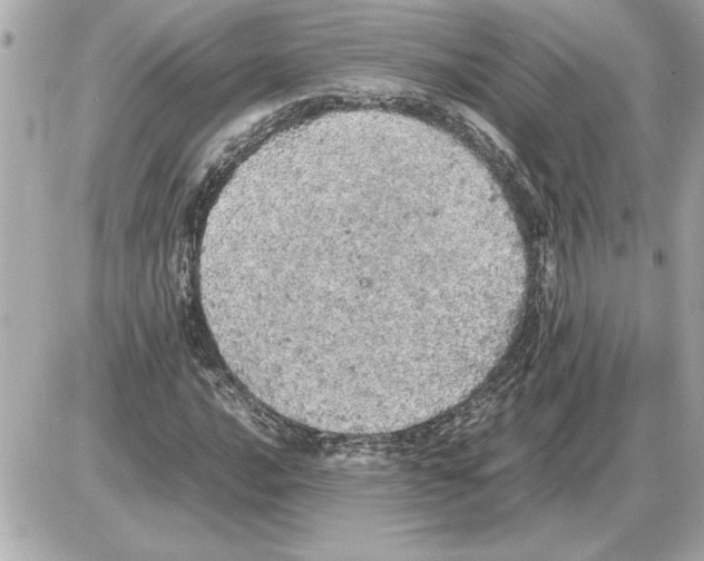 X0000085271016200704092134