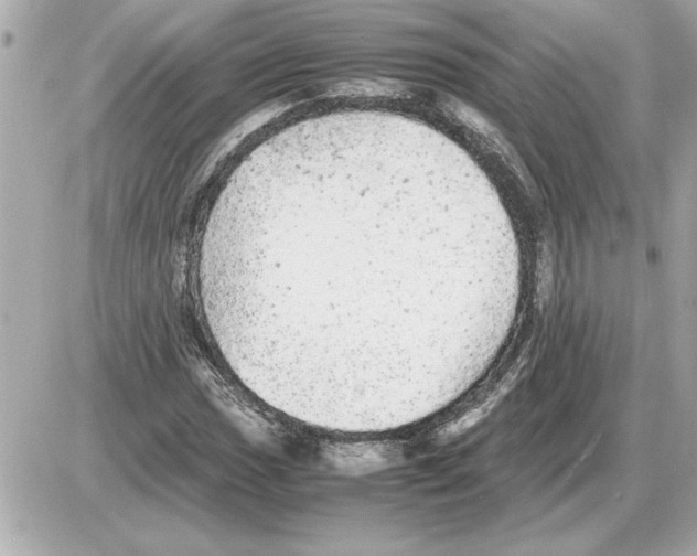 X0000085271017200704092134