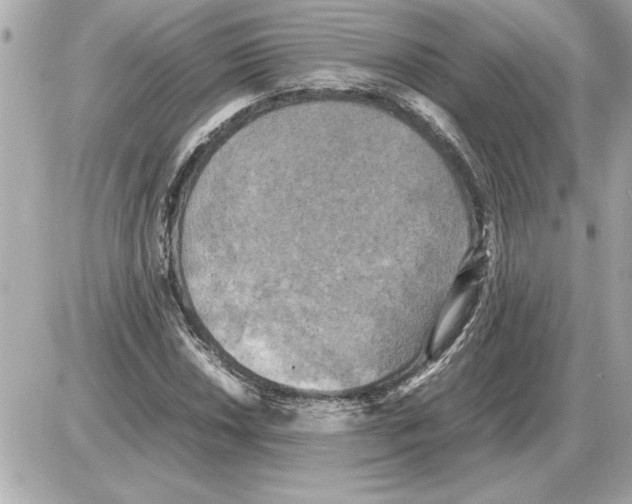 X0000085271018200704092134