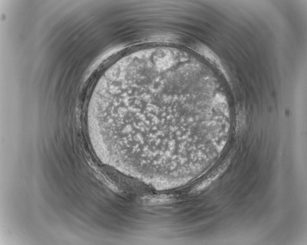 X0000085271019200704092134