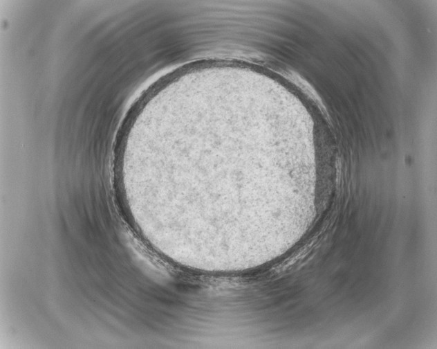 X0000085271020200704092134