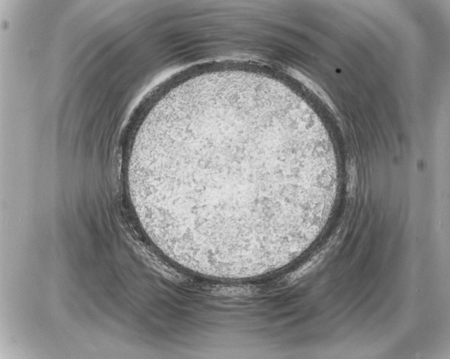 X0000085271021200704092134