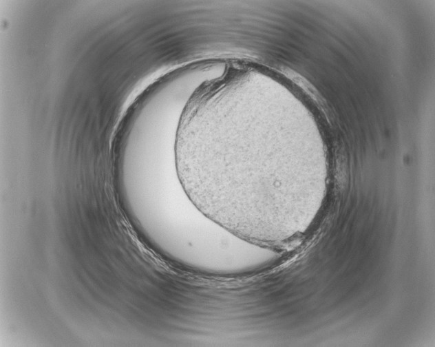 X0000085271022200704092134