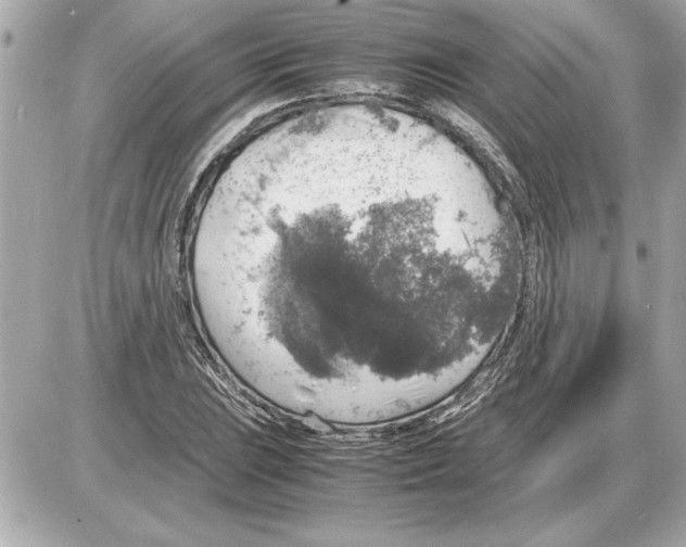 X0000085271023200704092134