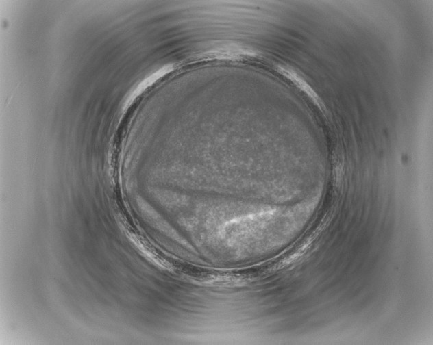 X0000085271026200704092135