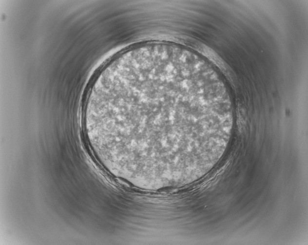 X0000085271028200704092135