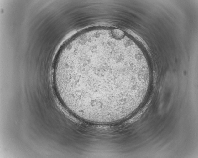 X0000085271029200704092135