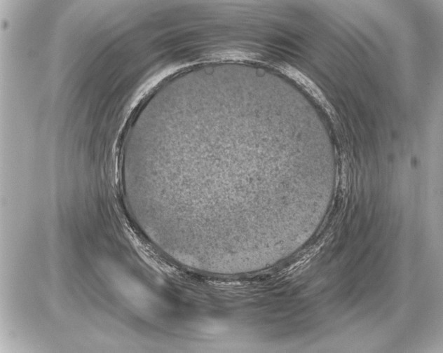 X0000085271031200704092135