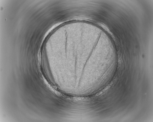 X0000085271032200704092135