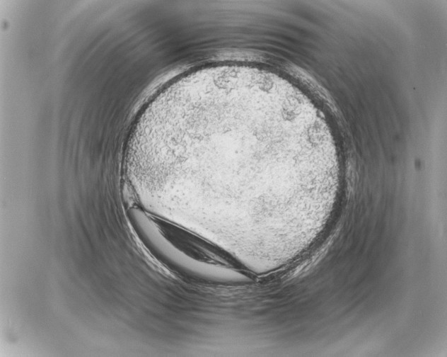 X0000085271033200704092135