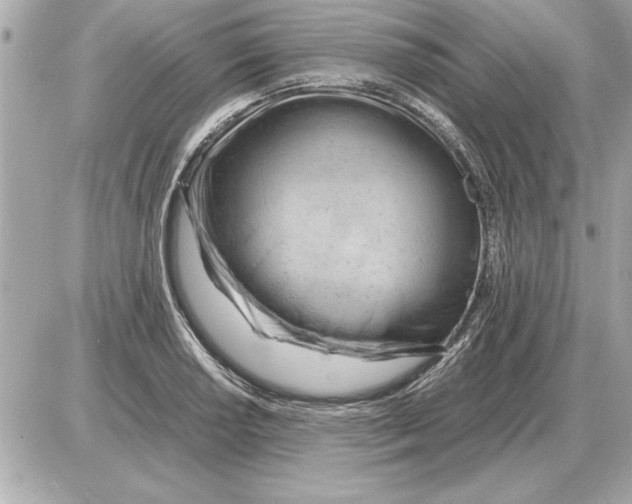 X0000085271034200704092135