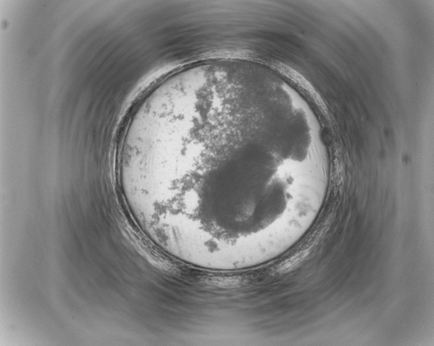 X0000085271035200704092135