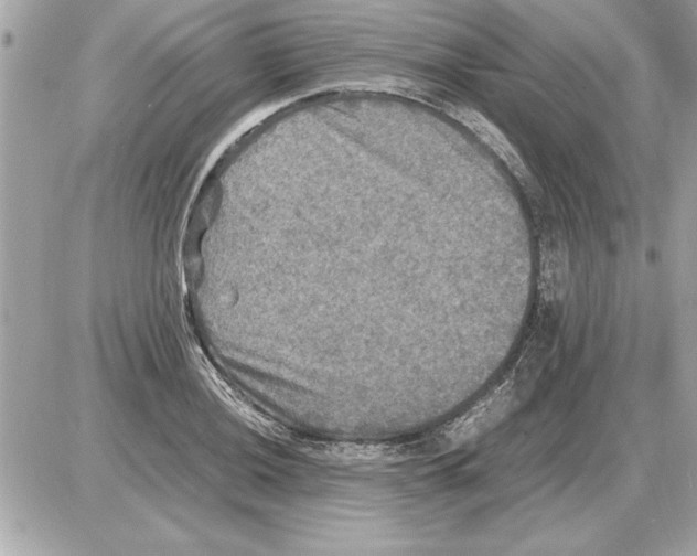 X0000085271036200704092135