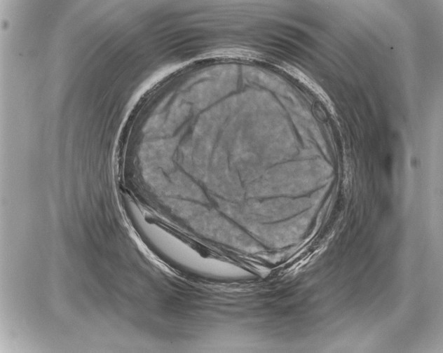 X0000085271037200704092135