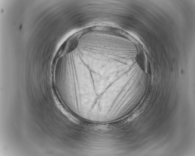 X0000085271038200704092135