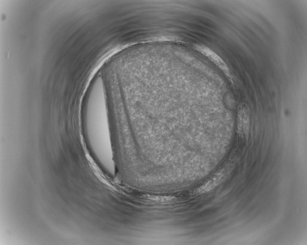 X0000085271039200704092135