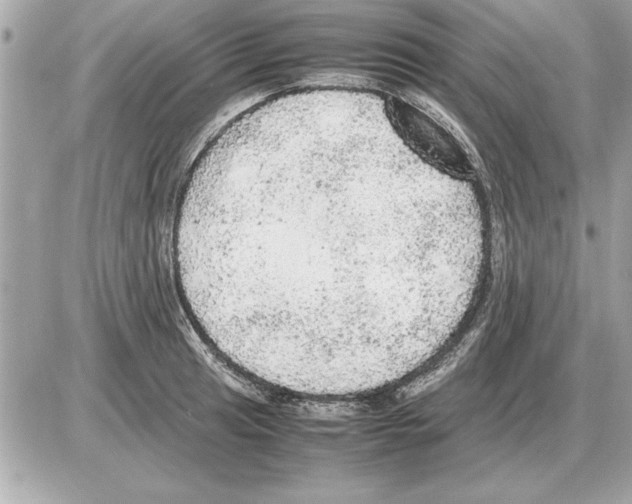 X0000085271041200704092135