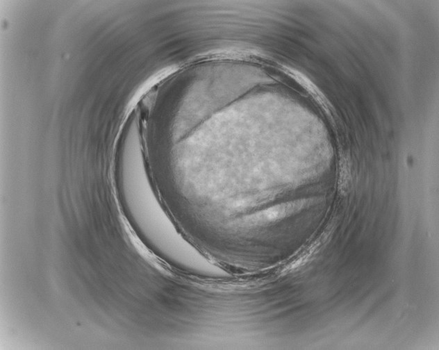 X0000085271042200704092135